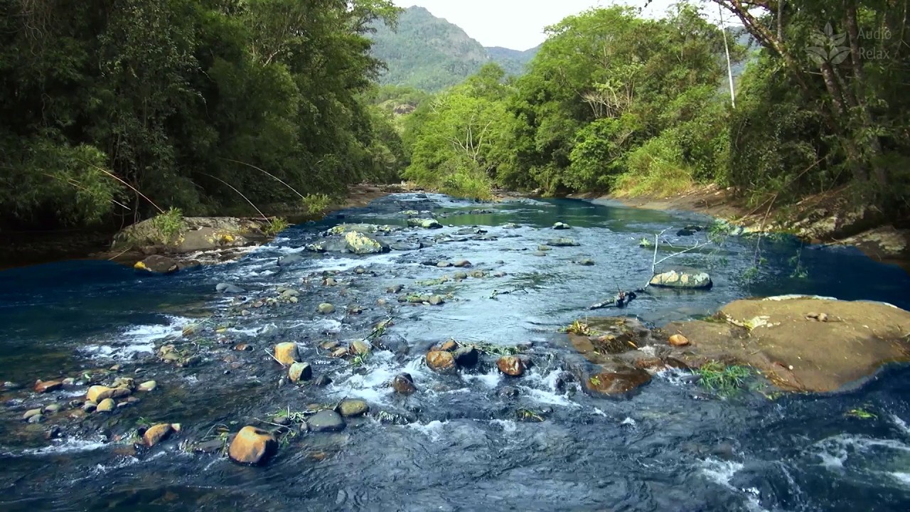 Lush Mountain Stream | 10 Hours of Gentle White Noise for Meditation & Zen