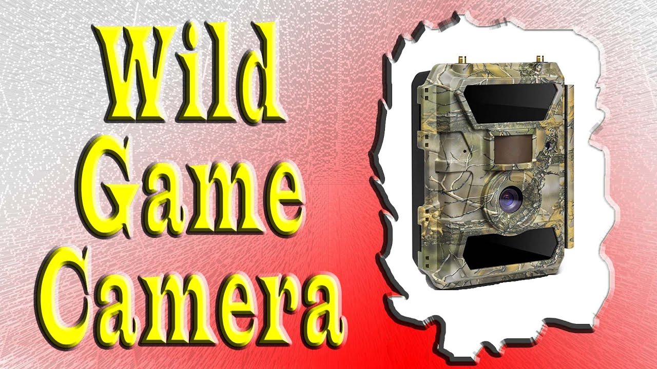 Best Wildlife Camera 2022 | Outdoor WiFi Full HD with Night Vision Camera Review