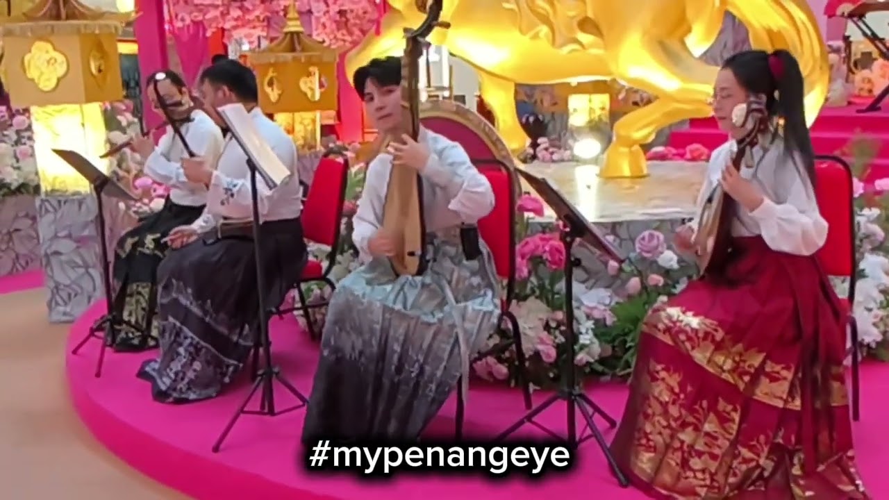 🎥 The Joyous Chinese Orchestra – Sunshine Central Mall CNY 2026 – 我的心裡只有你沒有他 (Tiger Huang)