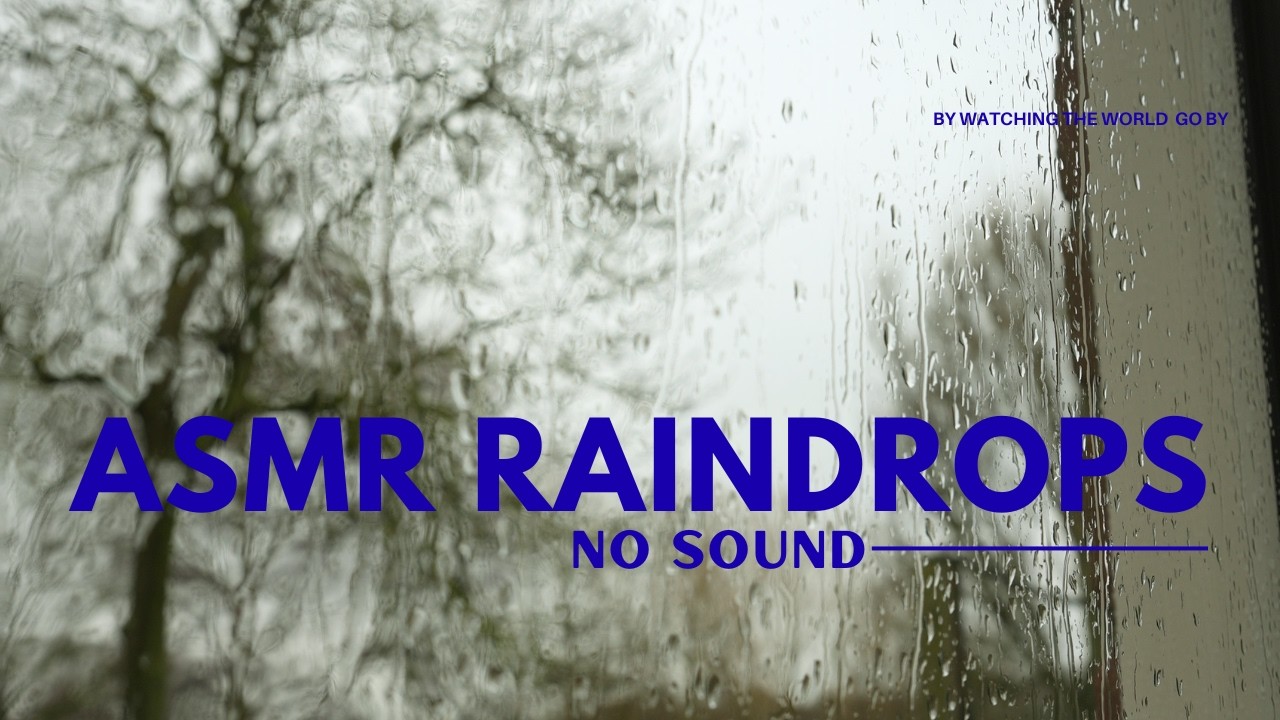 No Sound | Gentle Rain on a Window