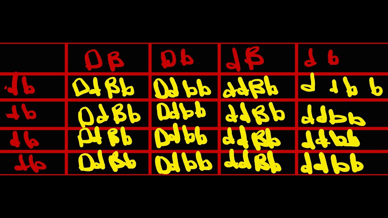 Answering Gentics Questions With Dihybrid Crosses