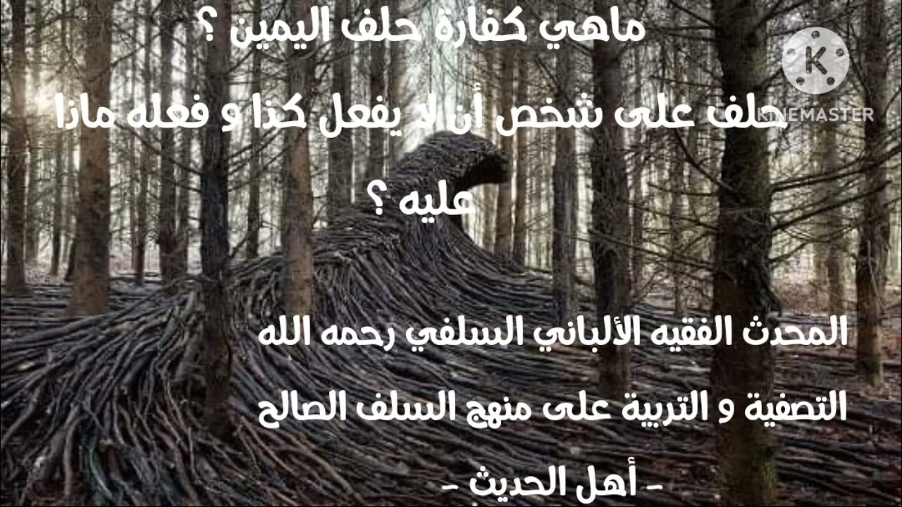 الإمام الألباني السلفي رحمه الله/ كفارة اليمين/ حلف على شخص أن لا يفعل كذا و كذا و فعله فماذا عليه ؟