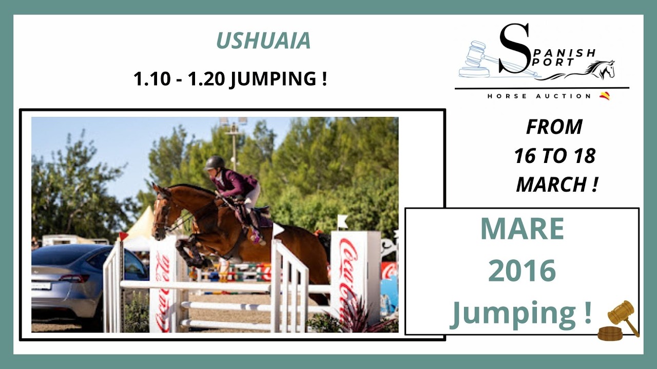 USHUAIA. SHOWJUMPING