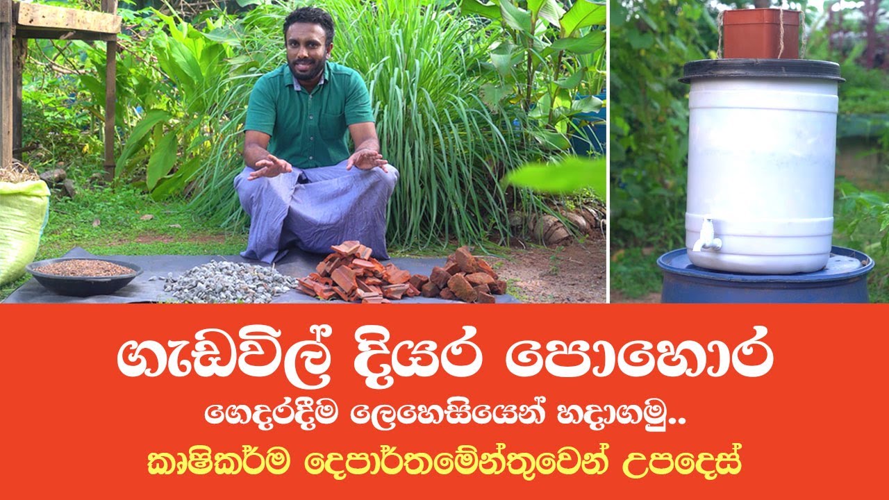 ගැඩවිල් දියර පොහොර ගෙදරදීම ලෙහෙසියෙන් හදාගමු | කෘෂිකර්ම දෙපාර්තමේන්තුවෙන් උපදෙස් | Episode 04