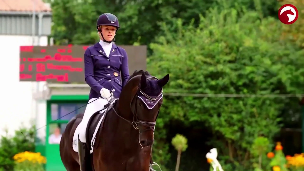 dynasty - dressage - Equestrian Music Video
