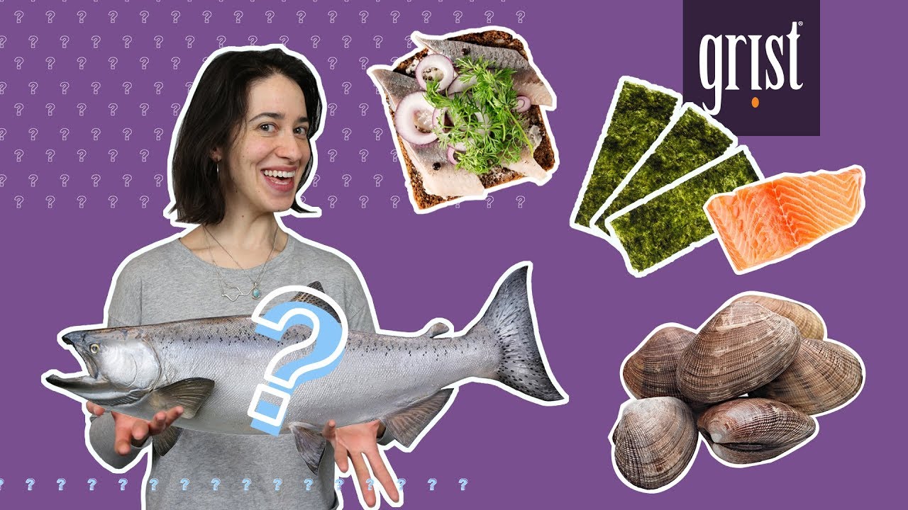 The most sustainable seafood for your pescatarian diet 🐟