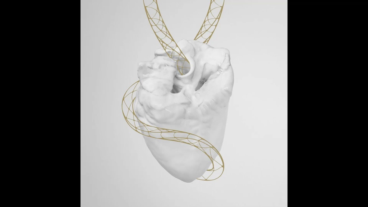 Vampillia &ndash; Alchemic Heart vinyl rip