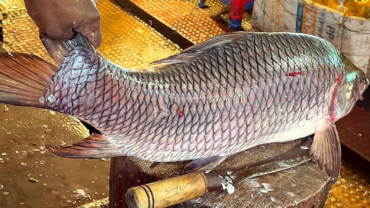 Amazing Cutting Skills | Giant Rohu Fish Skinning & Chopping By Expert Fish Cutter