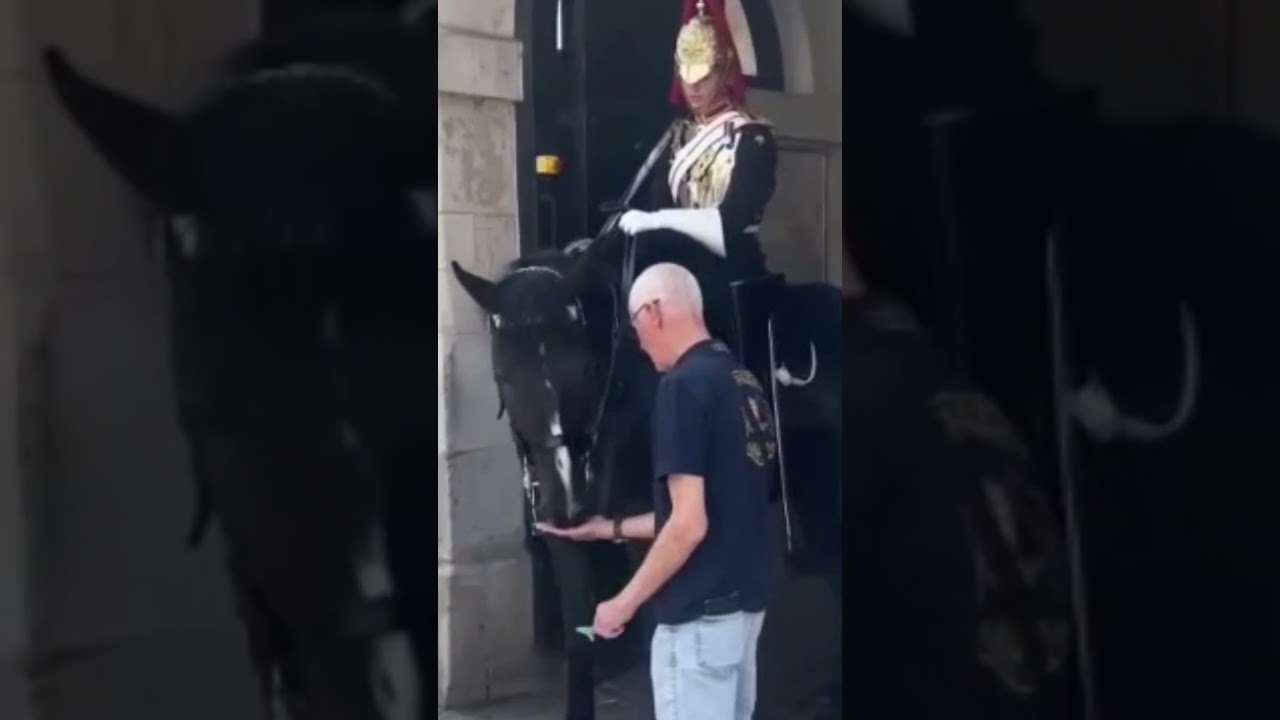 A Soldier&rsquo;s Respect: A Heartfelt Moment Between Veteran and Guard