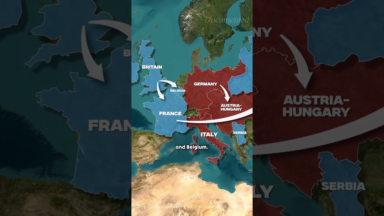 The Alliance System That Caused WW1! #shorts