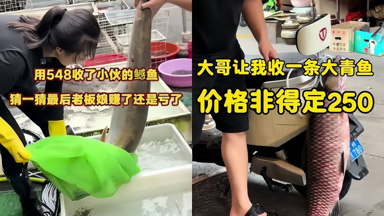548元收了小伙的鱤鱼，最后老板娘赚了还是亏了？｜第一次遇到脑回路清奇的人，卖鱼自己定价250元？