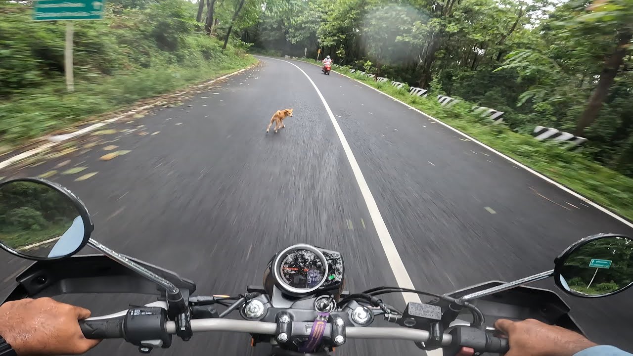Honda CB 350 RS | Pure Sound | POV | Wild Ride