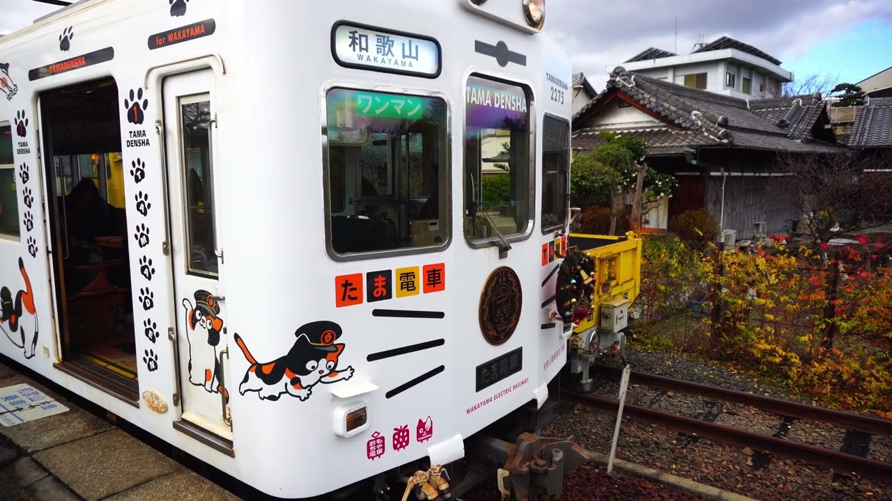 💕可愛い💞ねこの😻たま電車🚃が出発🥰