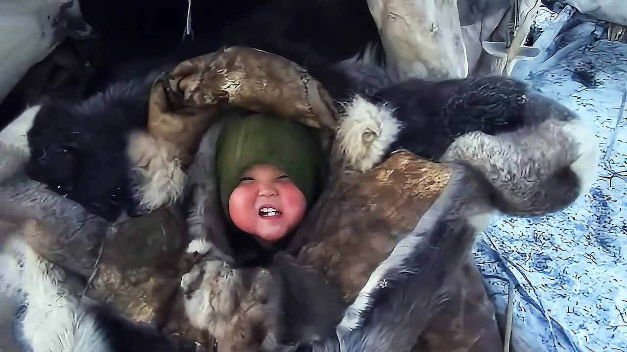 Cuộc Sống Hiện Đại Của Người Inuit Giờ Ra Sao?