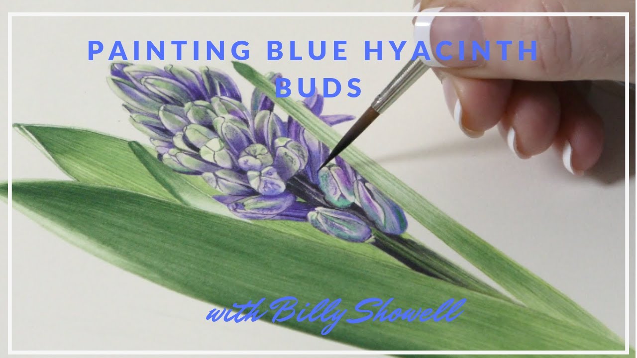 Painting a Hyacinth Bud - Preview ⎮ Billy Showell ⎮Watercolour Beautiful