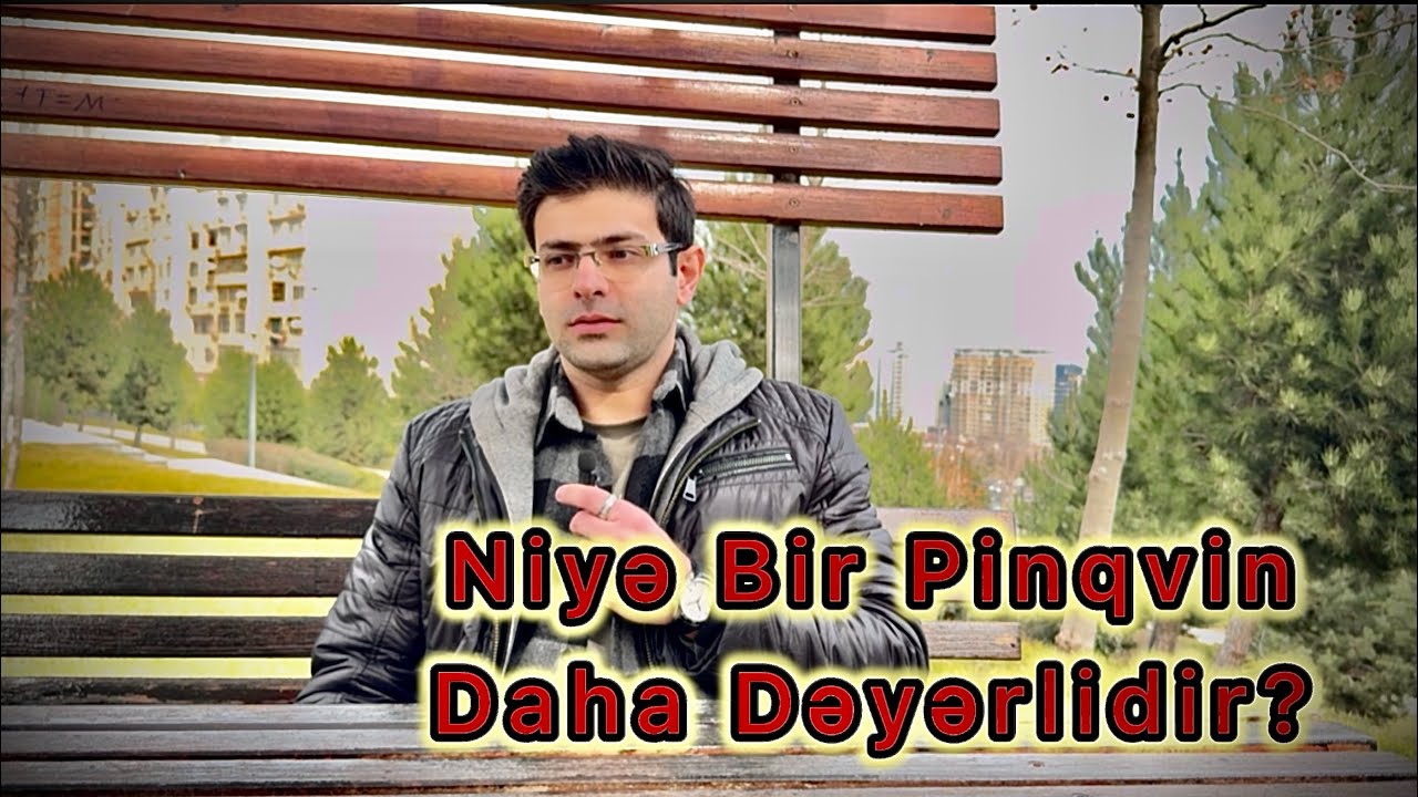 Bir Pinqvin Üçün Dünya Ayağa Qalxır… Bəs Uşaqlar?