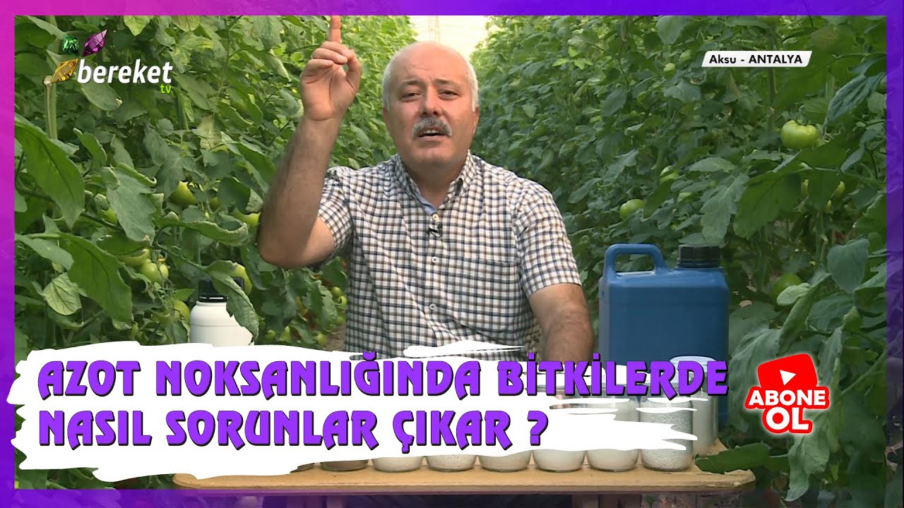 Azotlu Gübrelerin Sağladığı Yararlar