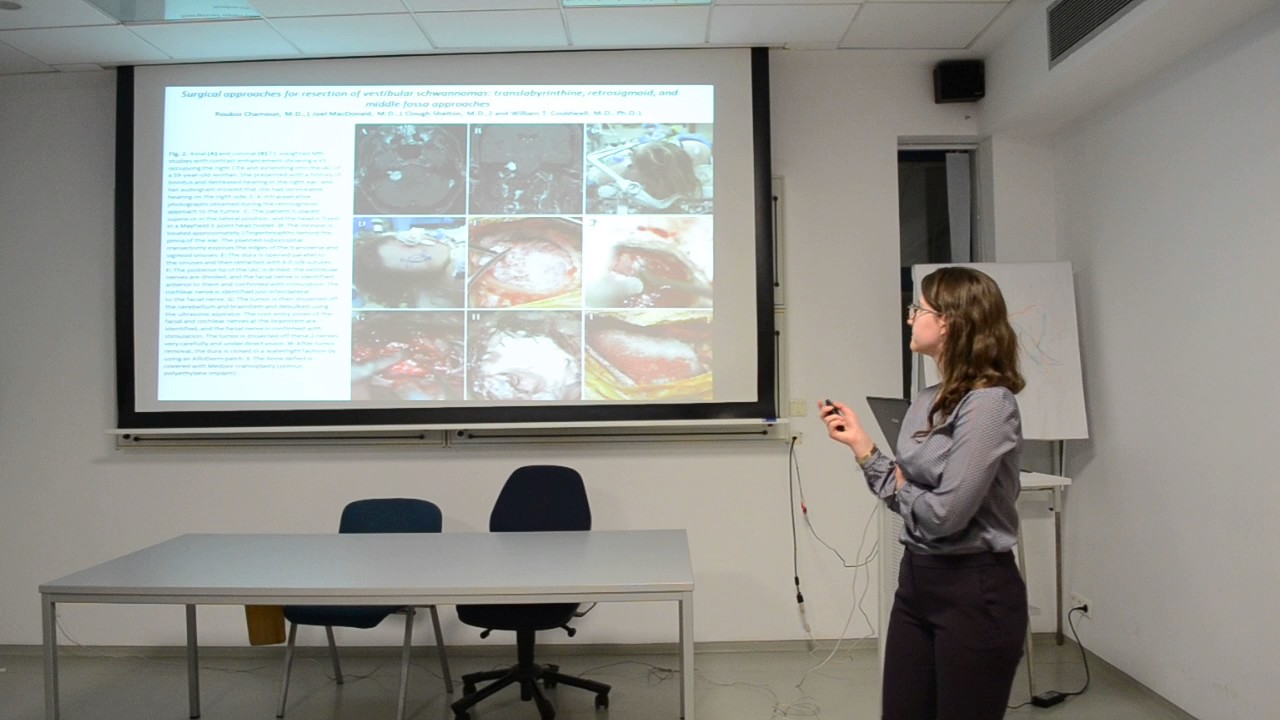 The retrosigmoid approach to the CP angle & other approaches - stud. Elena Nestian (4)