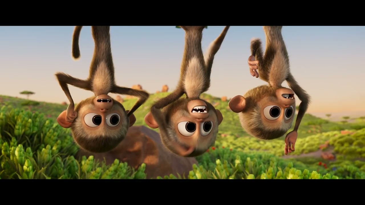 Petit Panda en Afrique | Bande-annonce officielle