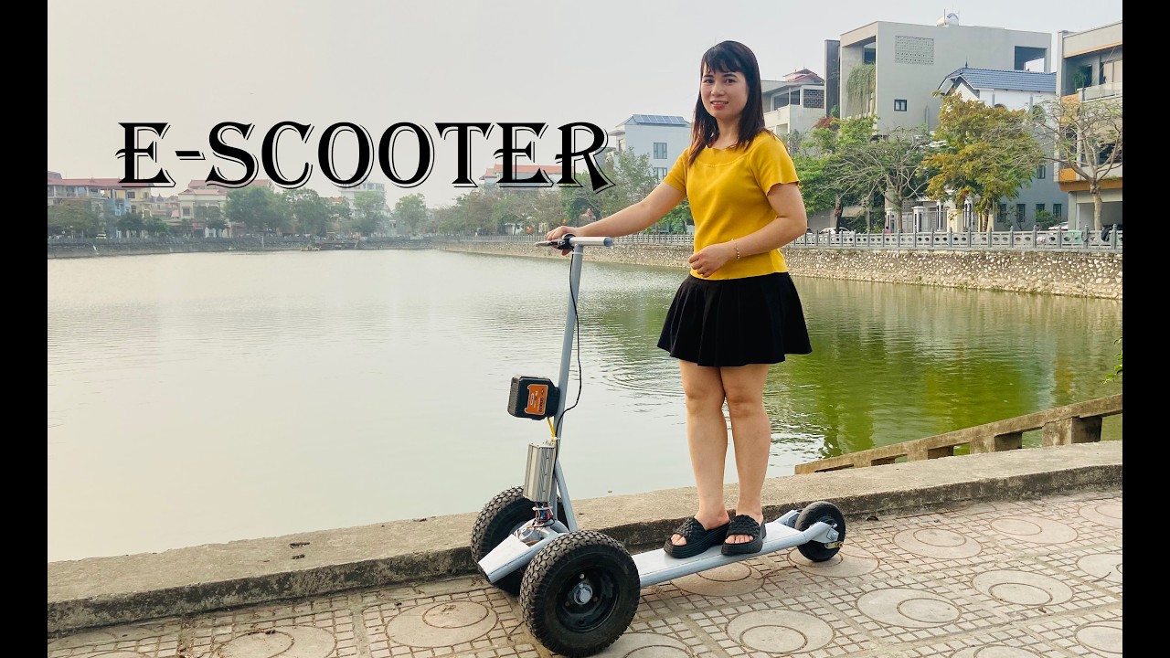 DIY electric skateboard