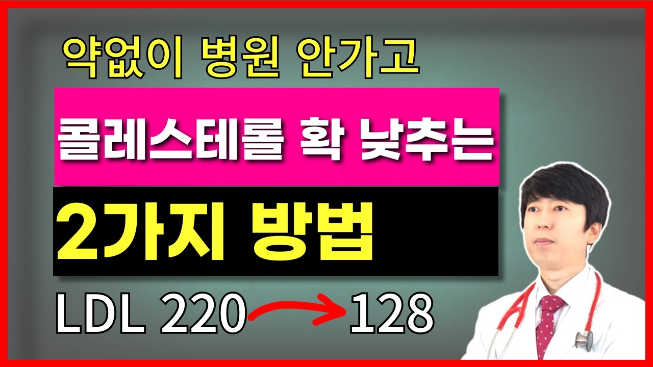 모르면 평생 후회 고지혈증 약없이 치료하는 2가지 방법. 효과 없을 때 확인해야 할 것들