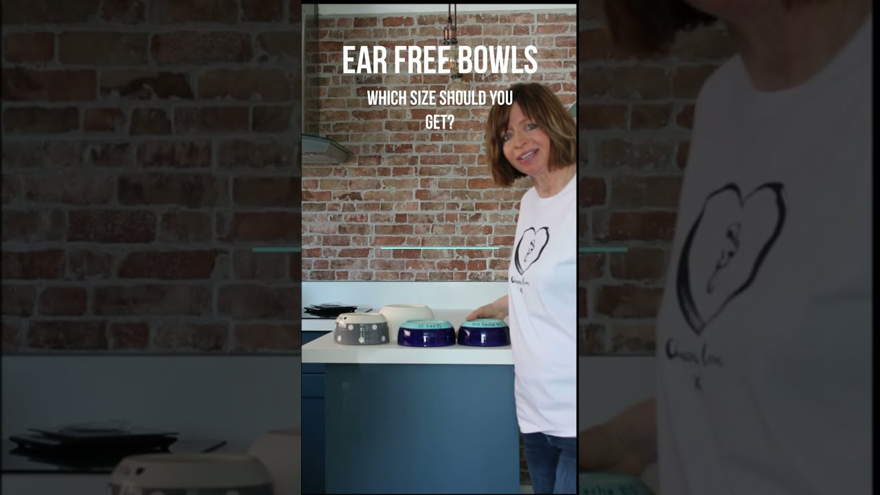 Choosing the Perfect Ear-Free Bowl for Your Long-Eared Dog | Size Comparison Guide