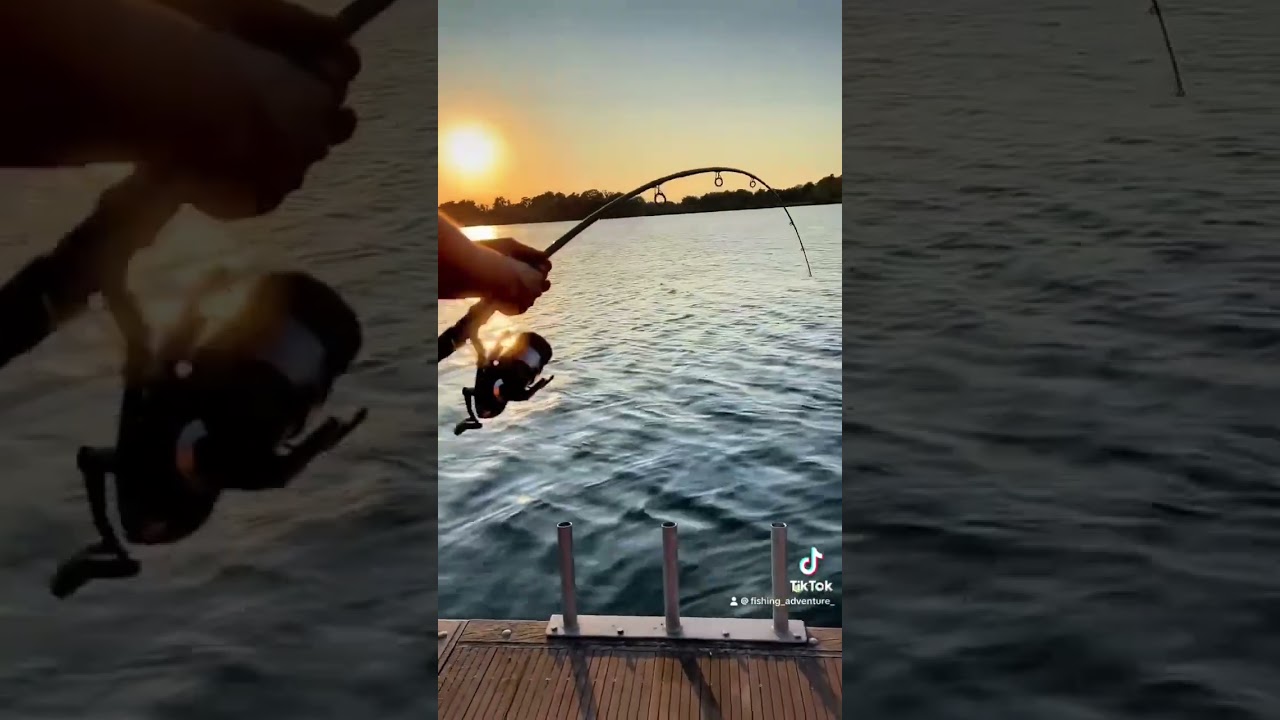 Steur gevangen op het grote meer! 