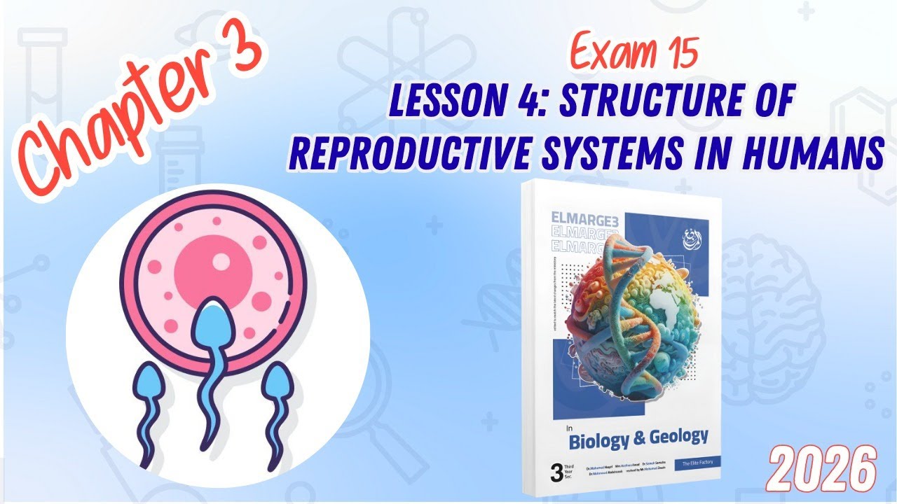 CHAPTER 3 | Lesson 4 | ELMARGE3 | Structure of reproductive systems in human | Exam 15