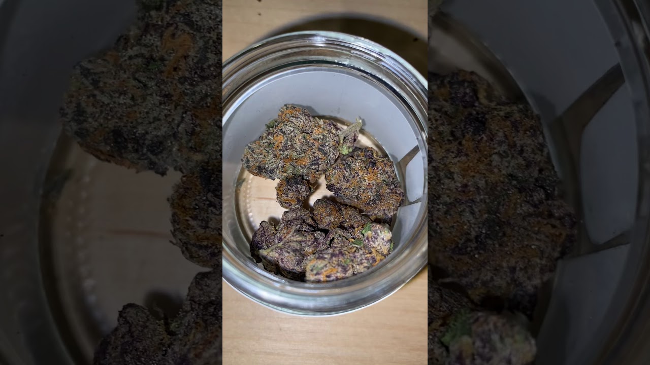 Alien Labs Gushers #24 Kobe Strain !