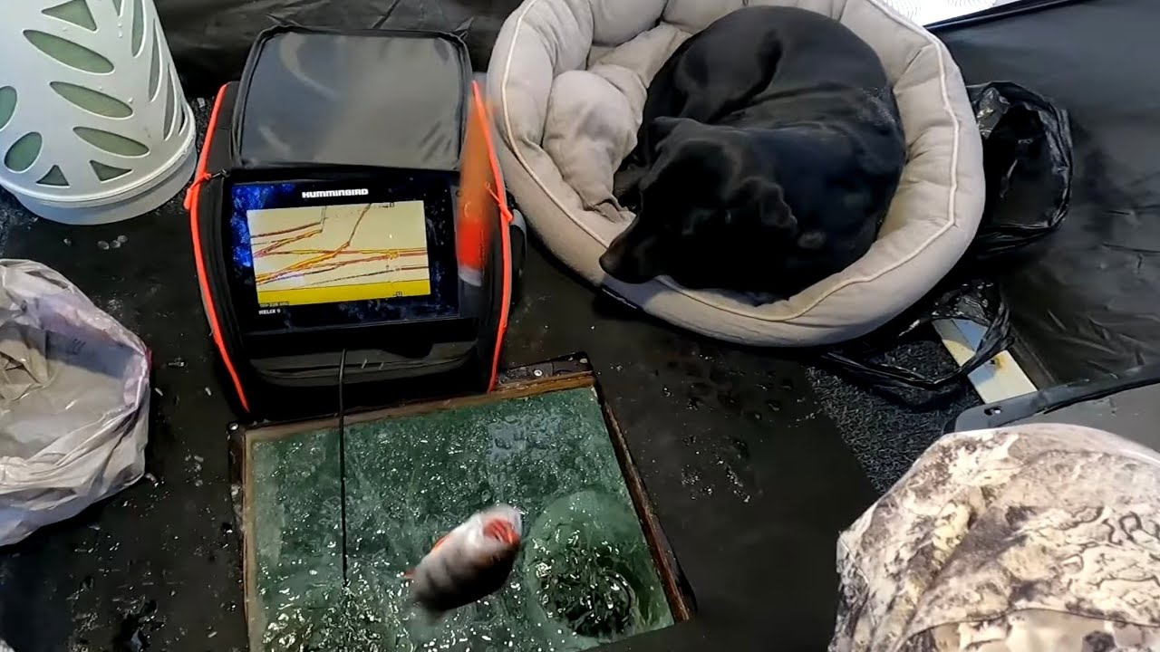 PILKILLÄ 100 | MIMMIN PILKKIKISA | VOIKO MAATEN VOITTAA ?