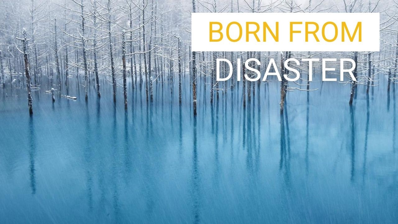 How a Disaster Created Japan’s Most Surreal Lake