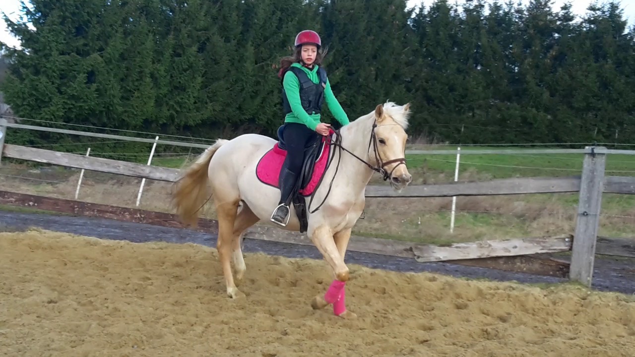 7 avril 2017