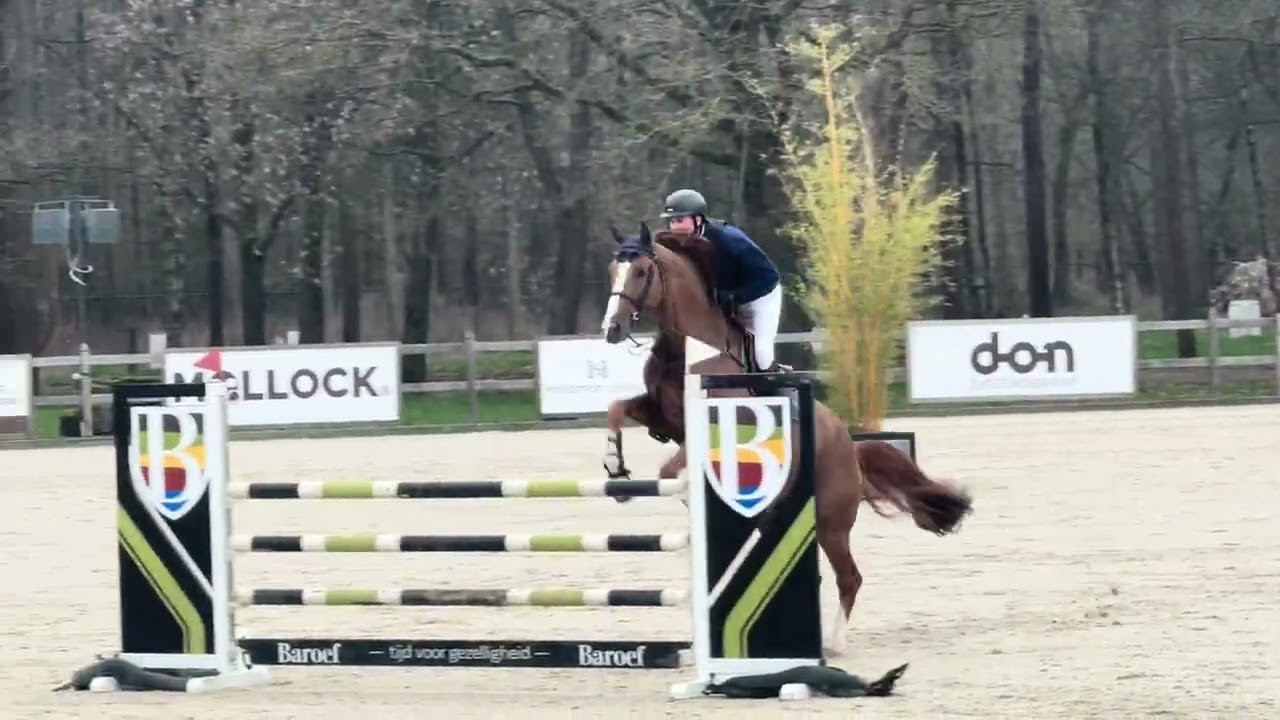 Odysseus of Invictus / 1m20 / Deurne