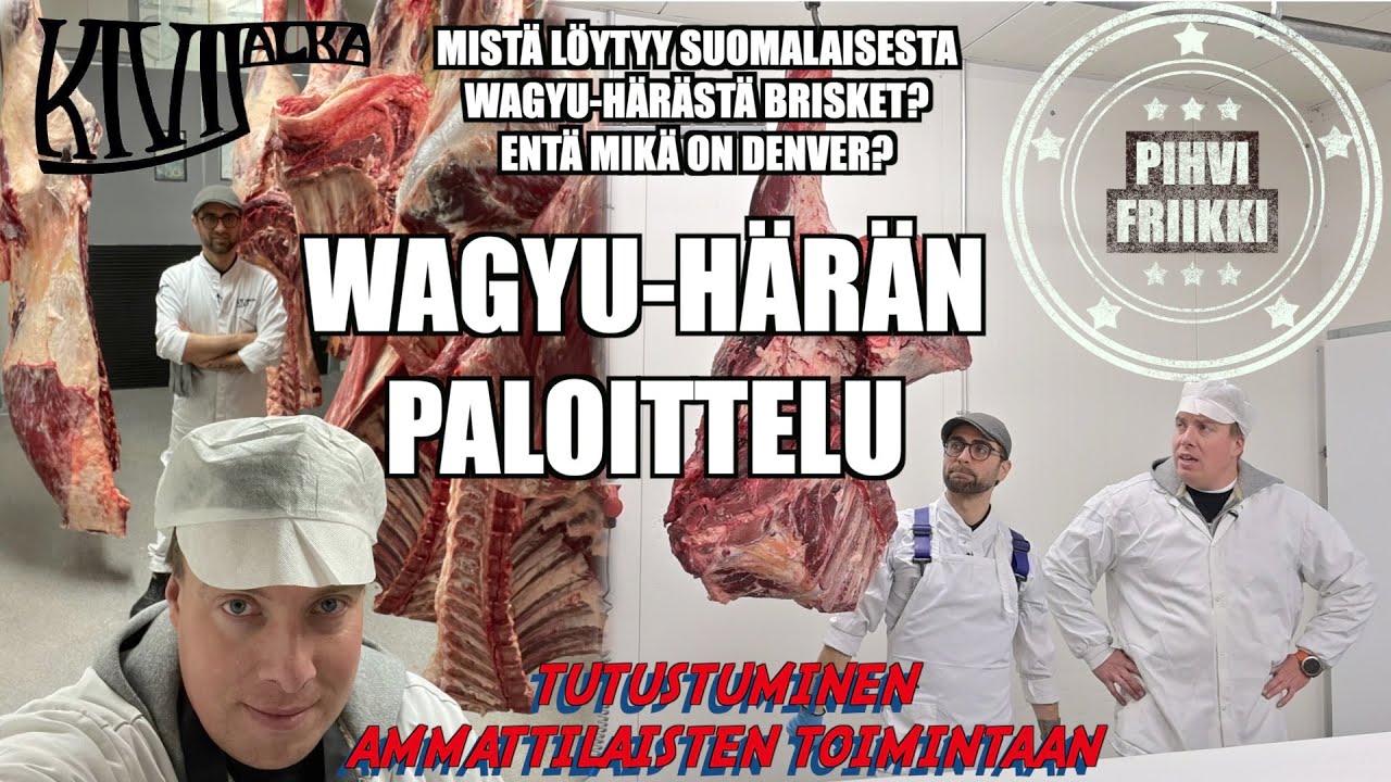 Suomalainen lihaleikkaamo Kivijalka Butchery osa 2/6. - Wagyu härän paloittelu