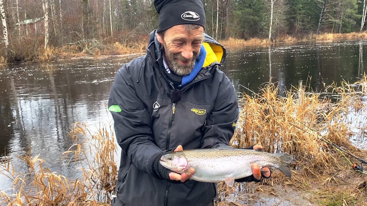 Koskikalastus rauhoitusajan jälkeen - Tekniikat, välineet ja vinkit