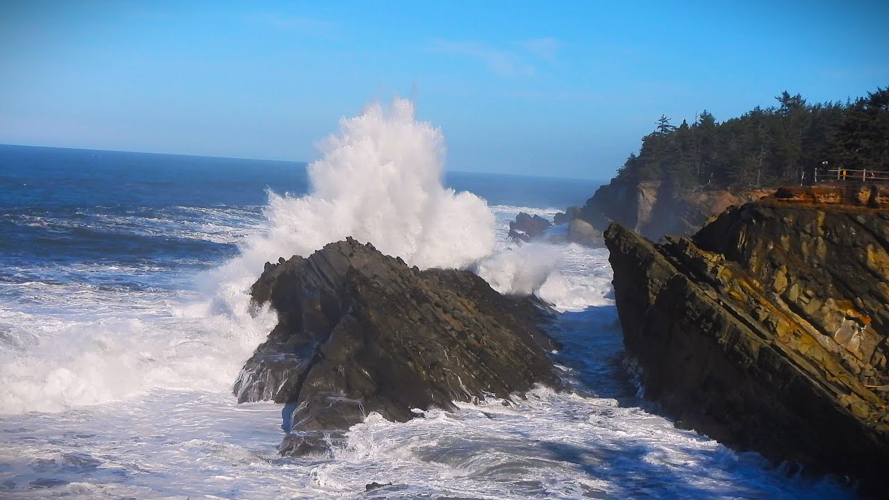 4K The Stunning Oregon Coast, Shore Acres State Park! January 2025 Study Music