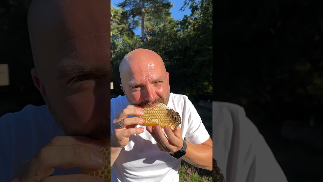 Imker isst Honig direkt aus einer Bienenwabe 🐝🍯 mit Honigbienen