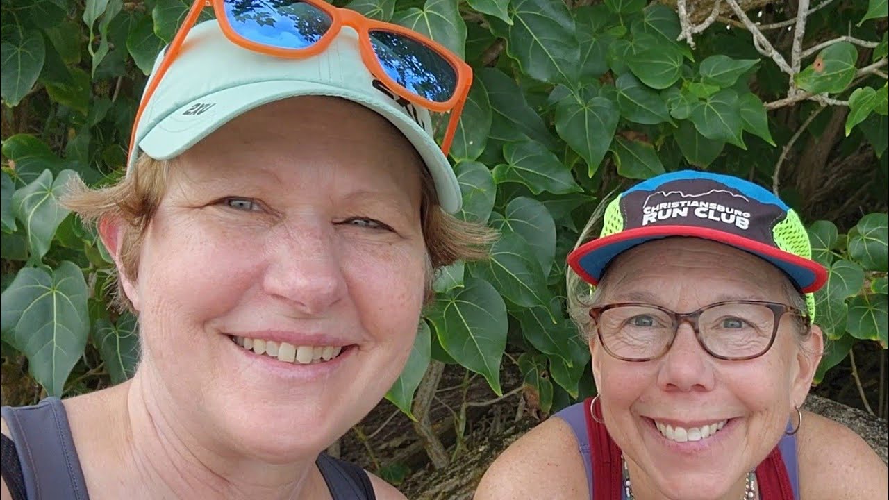 Exploring a Historic Sugar Plantation and Reef Restoration Project 