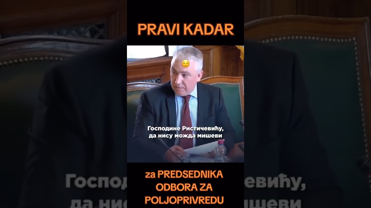 Poslanik rasturio Rističevića u Skup&scaron;tini!