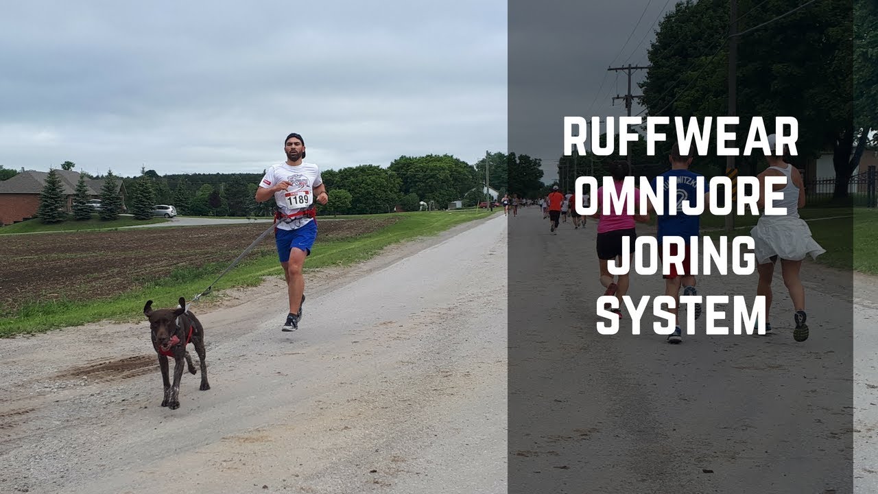 Ruffwear Omnijore Joring System - Tested & Reviewed