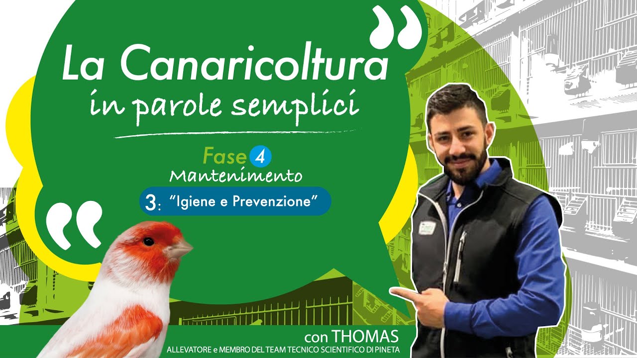 La Canaricoltura in Parole Semplici - 4.3 Mantenimento_igiene e prevenzione