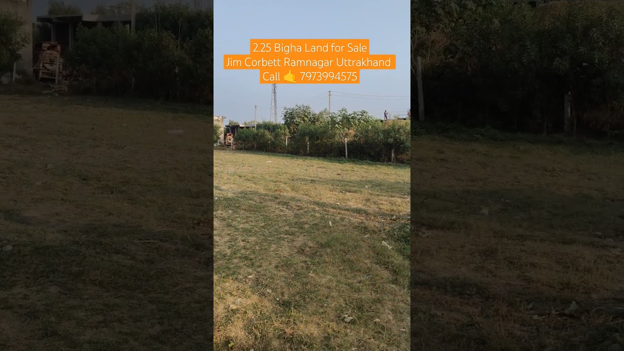 2.25 Bigha Land for SaleJim Corbett Ramnagar Uttrakhand #jimcorbett #corbett #jimcorbettuttarakhand