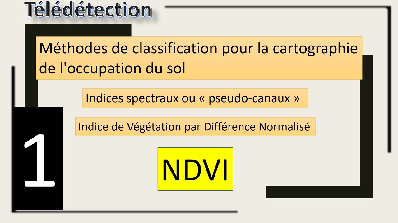 La classification de la couverture végétale par l'indice NDVI sur arcgis