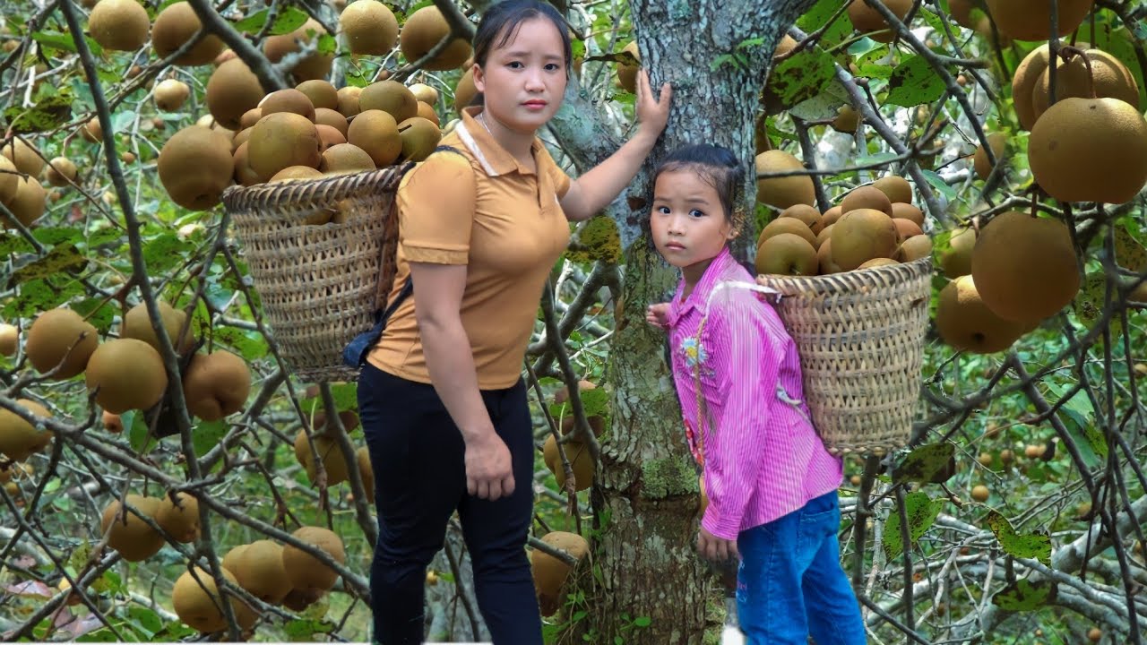 Harvest the pear garden goes to the market sell,About the village to find a builder Make a fish pond