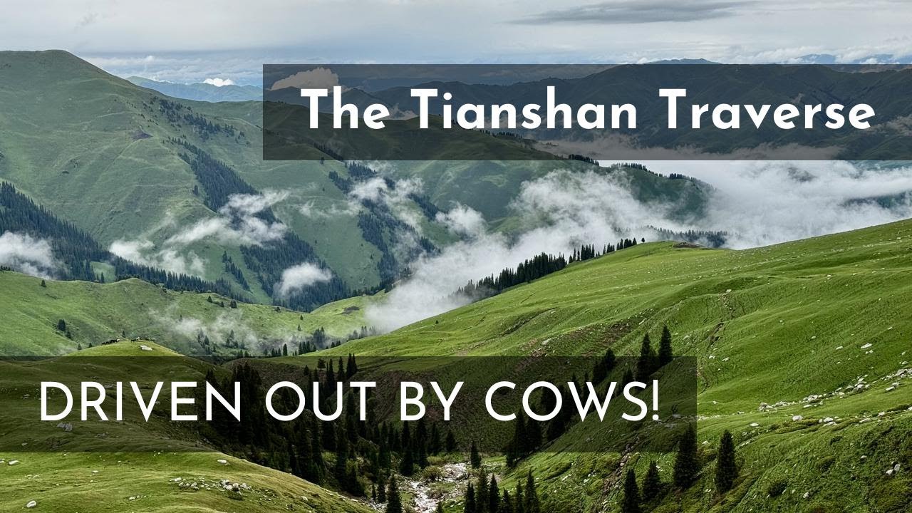 Miserable Rain & Relentless Cows: Did We Make a Huge Mistake?