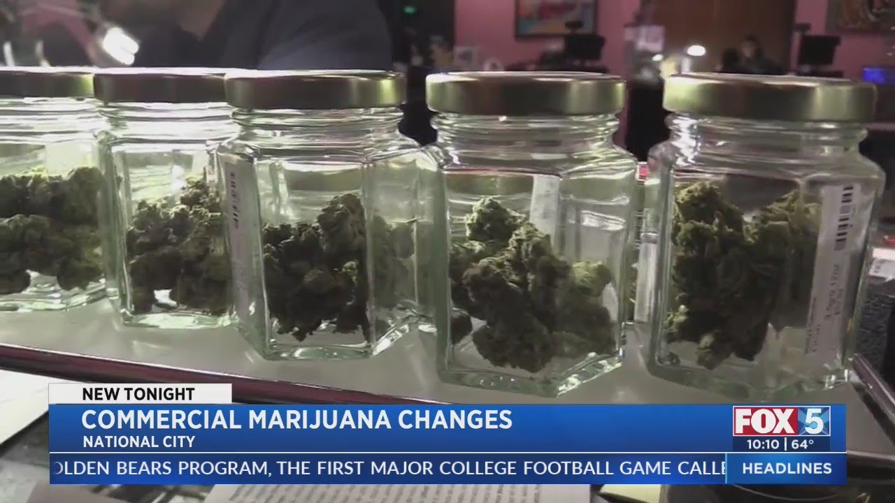 National City Takes Step Toward Allowing Commercial Cannabis Sales