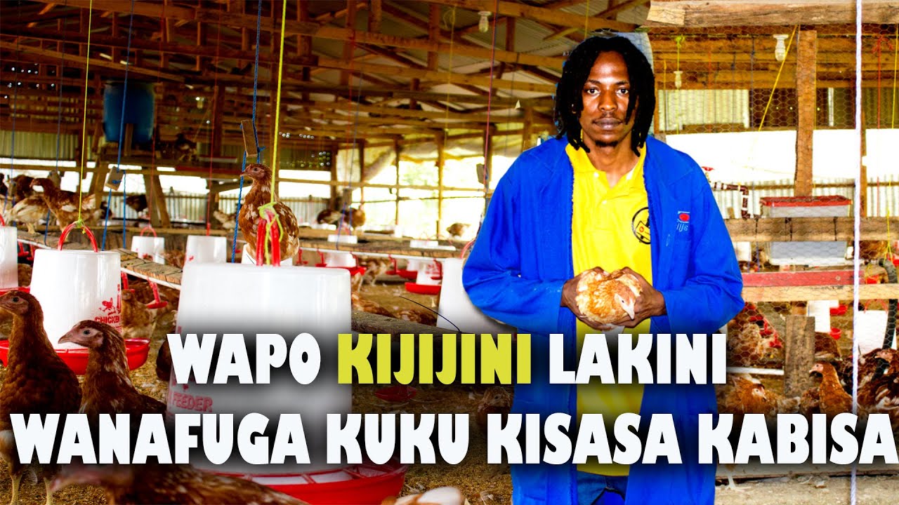 KUKU NI UTAJIRI: 