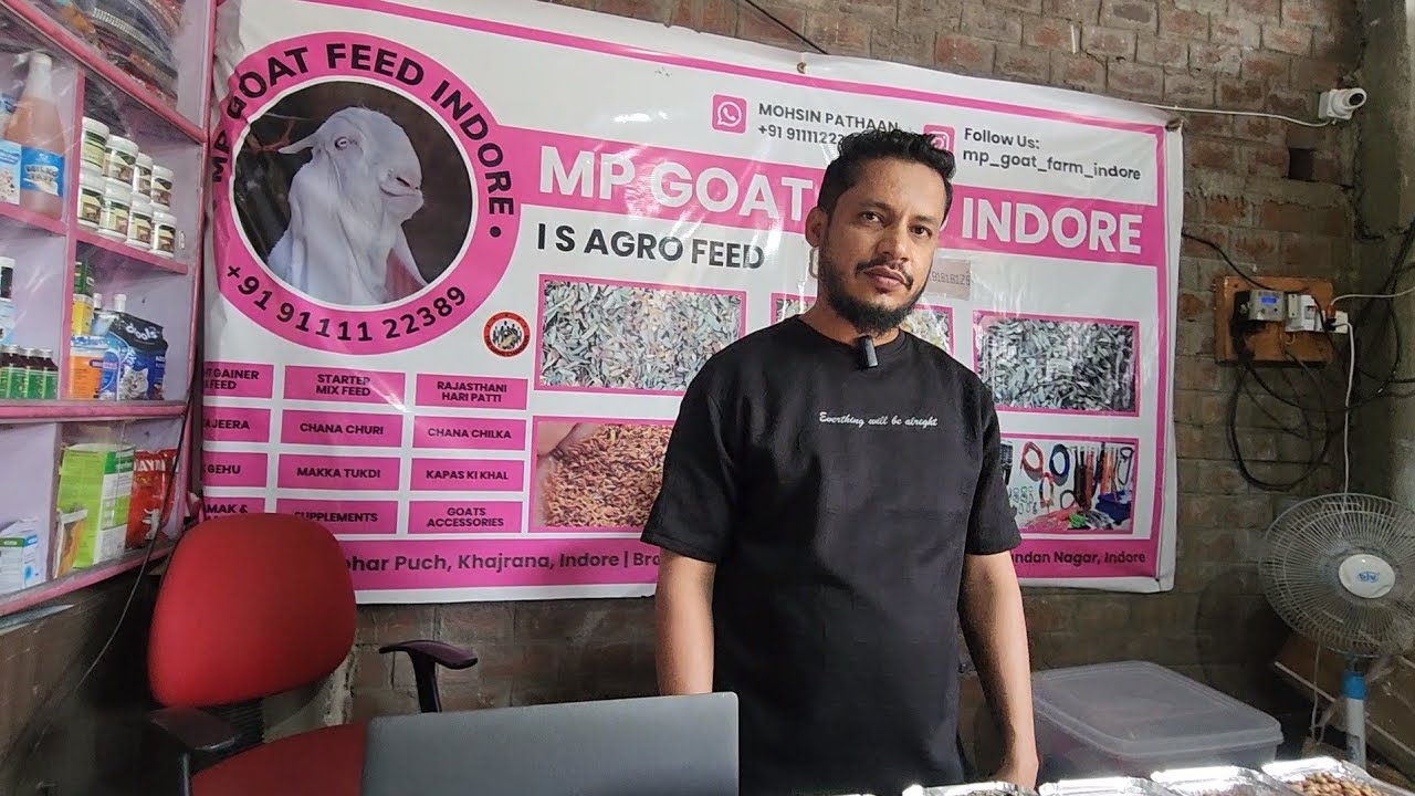 The King Of Goat Feed Industry Madhya Pradesh | MP Goat Feed Indore | One Place All Feed Available.