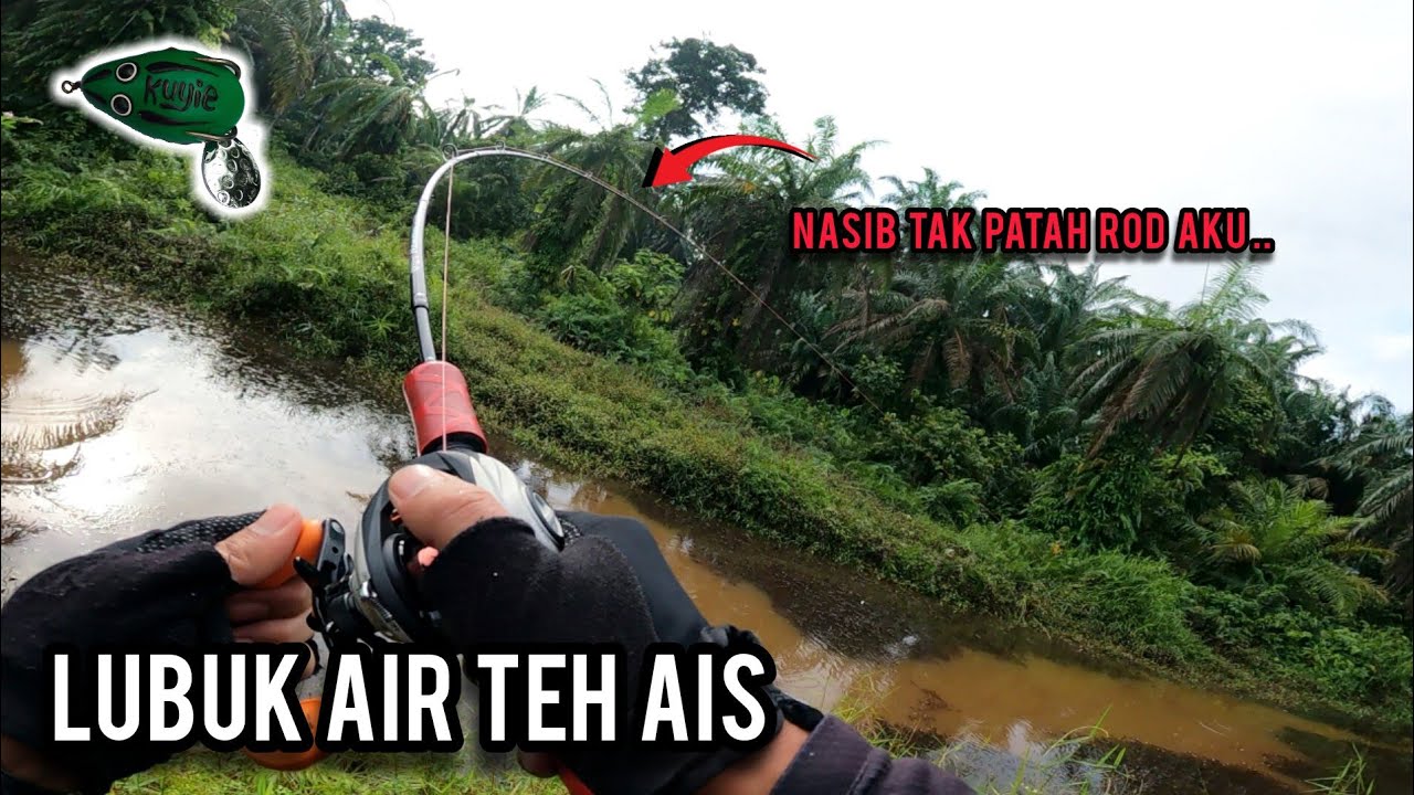 CASTING HARUAN | SPOT JACKPOT PENUH DENGAN HARUAN | ABU GARCIA MAX STX | VLOG575