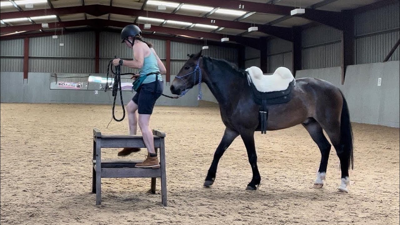 Henry’s Journey: Intro to bareback pad